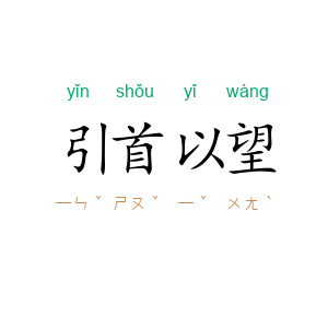 引首以望