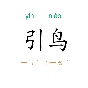 引鸟