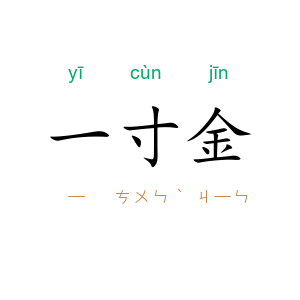 一寸金