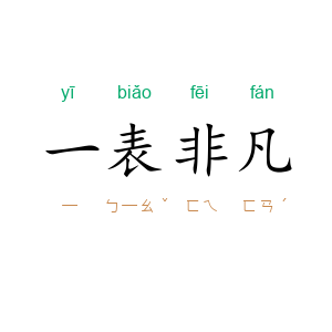 一表非凡