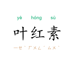 叶红素