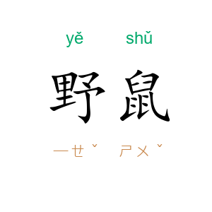 野鼠