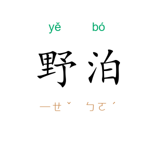 野泊
