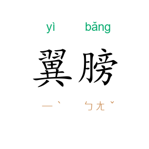 翼膀