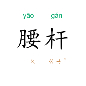腰杆