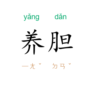 养胆