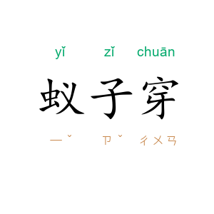 蚁子穿