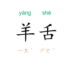 羊舌