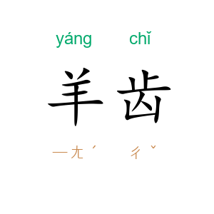 羊齿