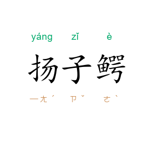 扬子鳄