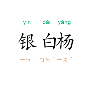 银白杨