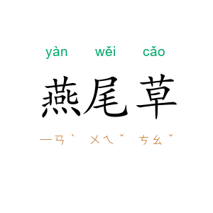 燕尾草