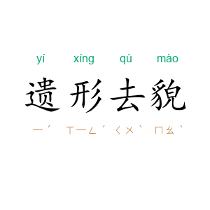 遗形去貌