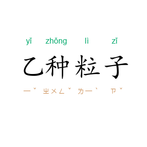 乙种粒子