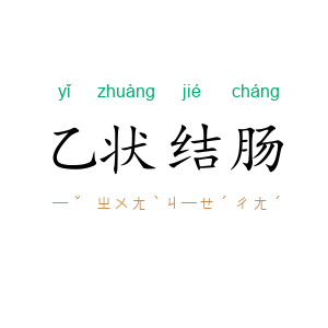 乙状结肠