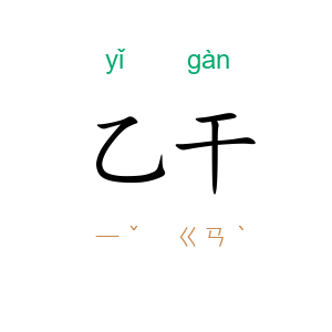 乙干