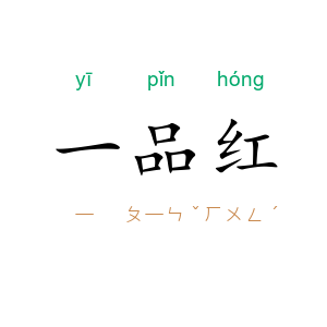 一品红