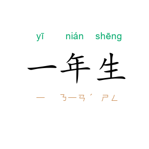 一年生