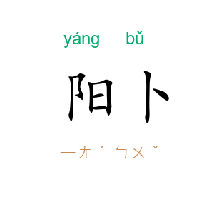 阳卜