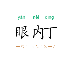 眼内丁