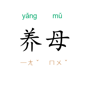 养母