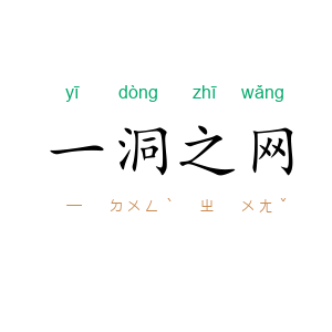 一洞之网