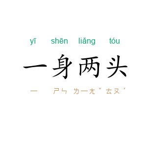 一身两头