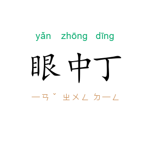 眼中丁