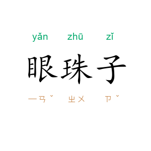 眼珠子