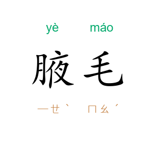 腋毛