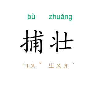 捕壮