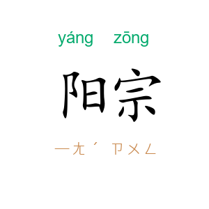 阳宗