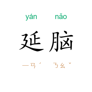 延脑