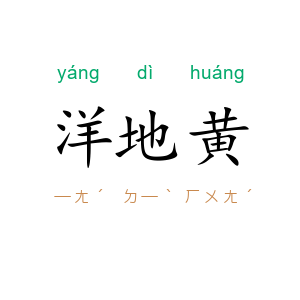 洋地黄