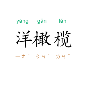 洋橄榄