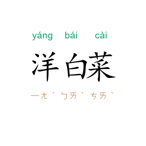 洋白菜