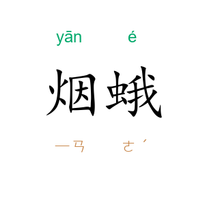 烟蛾