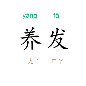 养发