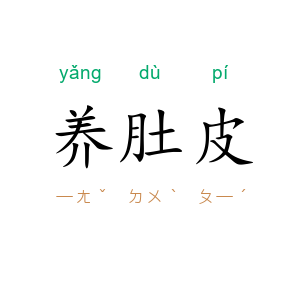 养肚皮