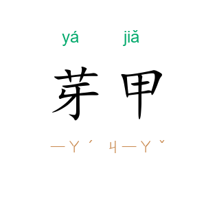 芽甲