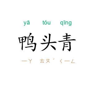 鸭头青