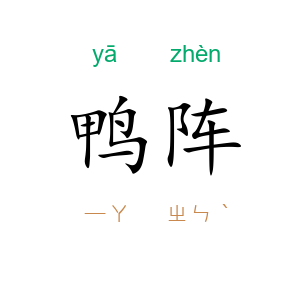 鸭阵