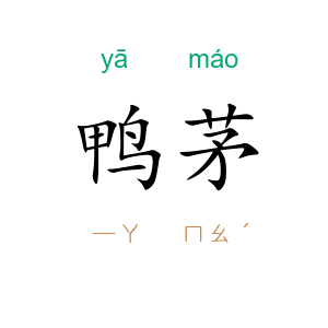 鸭茅