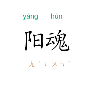 阳魂