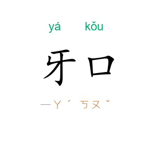 牙口