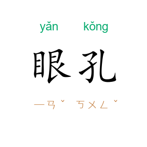 眼孔