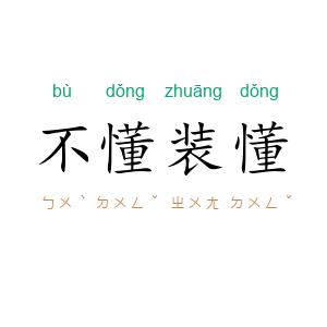 不懂装懂