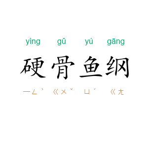 硬骨鱼纲