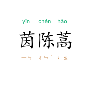 茵陈蒿