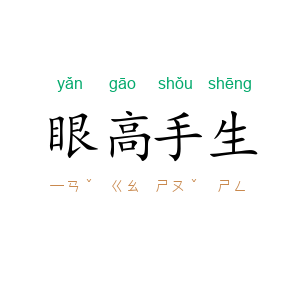 眼高手生